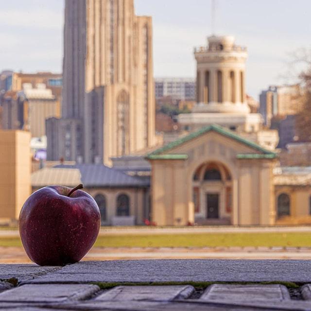 CMU on Instagram